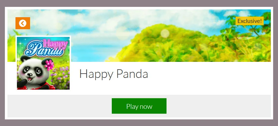 Happy Panda - Girls Game