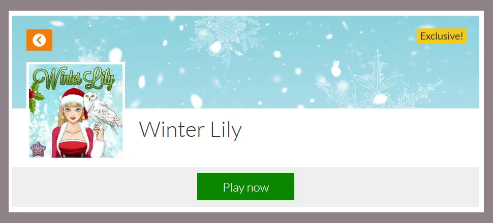 Winter Lily - Make-up Game