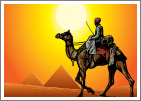 Camel in Desert