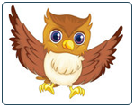 owl
