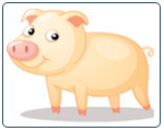pig