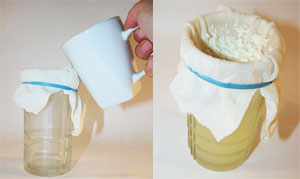 turning-milk-into-plastic