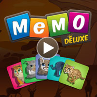 Memory Game Big Cats