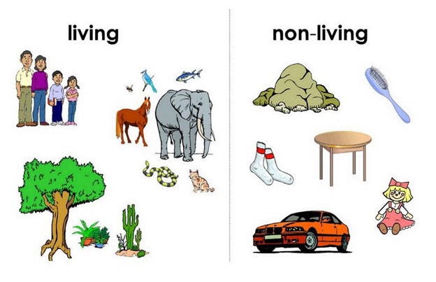 Non-living things