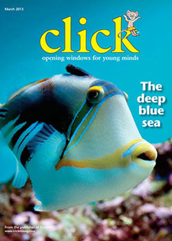 Click Magazine Review