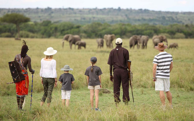 African safari