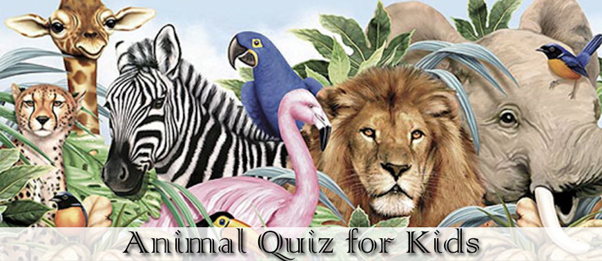 Animal Quiz With Answers And Short Animal Riddles For Kids