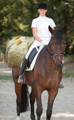 Man riding loaded horse