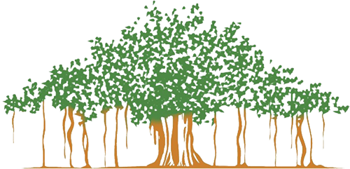 The Mighty Banyan Tree Story