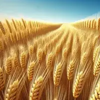 The Wheat Field