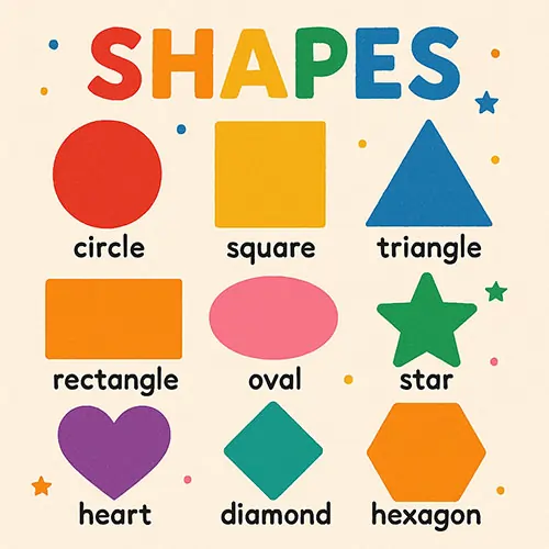 Shapes
