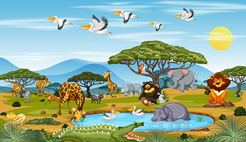 Animal Adaptations