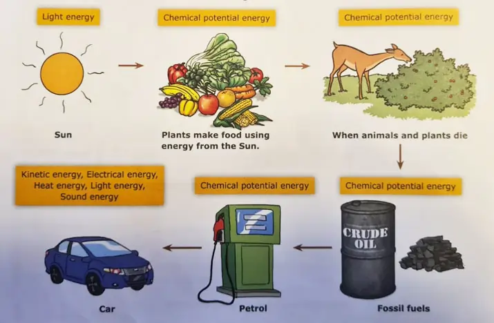 Conservation of Energy