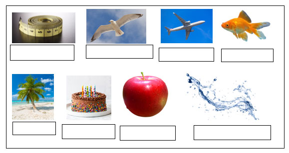 Living and Non-Living Things – Revision Worksheet