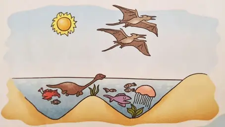 animals
