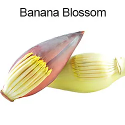 Banana Blossom