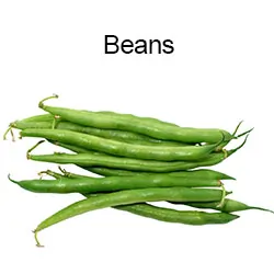 Beans