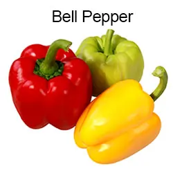 Bell Pepper