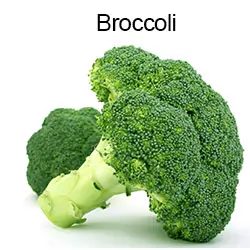Broccoli