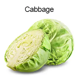Cabbage