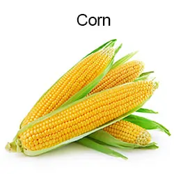 Corn