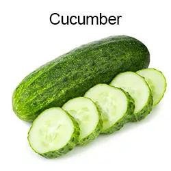 Cucumber