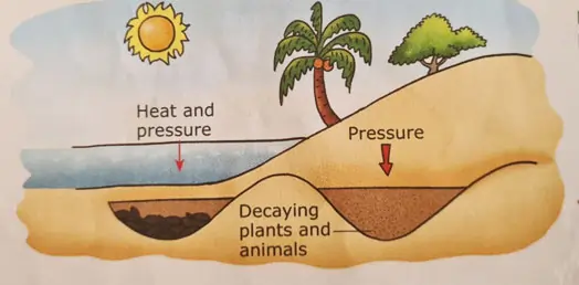 heat and pressure