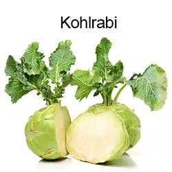 Kohlrabi