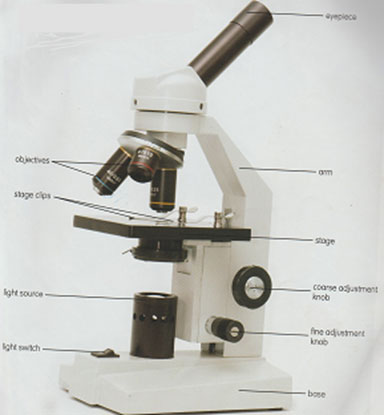 microscope