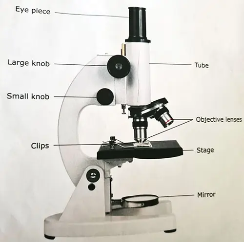 microscope