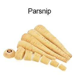 Parsnip