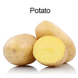 Potato