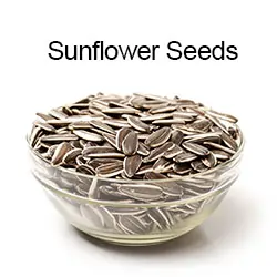 Sunflower Seeds