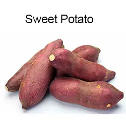 Sweet Potato