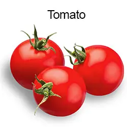 Tomato