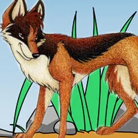 The Clever Jackal Who Was Too Wily