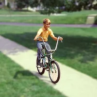 The Bicycle
