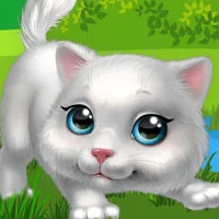 The Kitten
