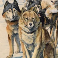 The Minister And The Dogs