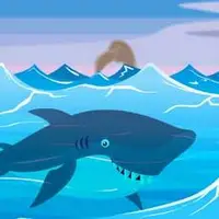 The Shark