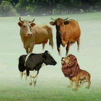 The Three Cows