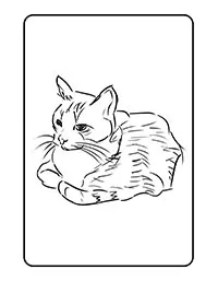 Cats Coloring Pages
