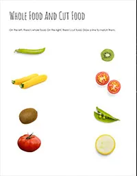 Montessori Paper Materials