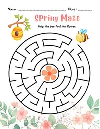 Spring Maze